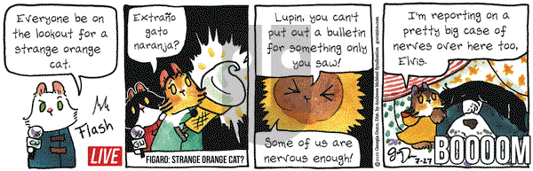 Breaking Cat News on Saturday July 27, 2019 Comic Strip