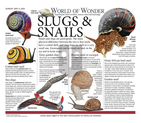 World of Wonder - Sunday May 4, 2025 Comic Strip