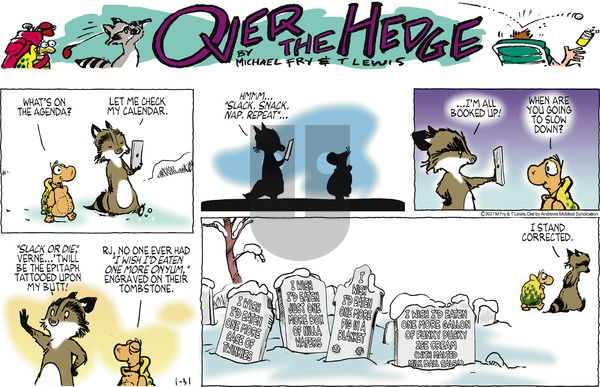 Over the Hedge on Sunday January 31, 2021 Comic Strip