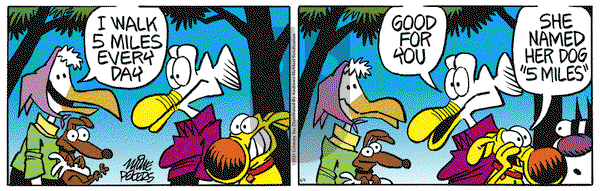 Mother Goose and Grimm on Monday June 9, 2025 Comic Strip