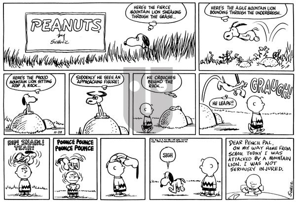 Peanuts on Sunday November 29, 1959 Comic Strip