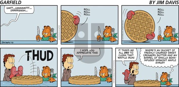 Garfield on Sunday July 21, 2019 Comic Strip
