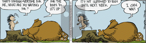 The Grizzwells on Tuesday June 11, 2019 Comic Strip