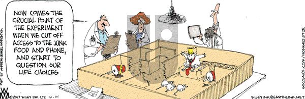 Non Sequitur on Wednesday June 14, 2017 Comic Strip