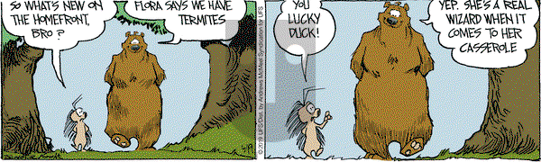The Grizzwells on Wednesday June 19, 2019 Comic Strip