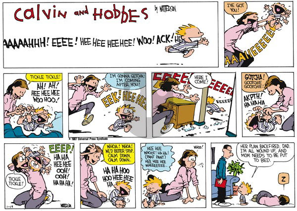 Calvin and Hobbes on Sunday February 22, 1987 Comic Strip