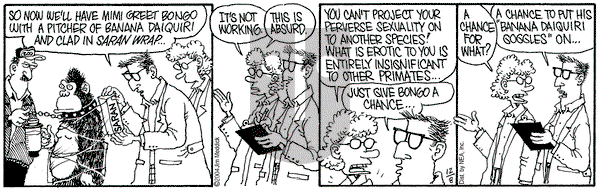 Monty on Wednesday December 8, 2004 Comic Strip
