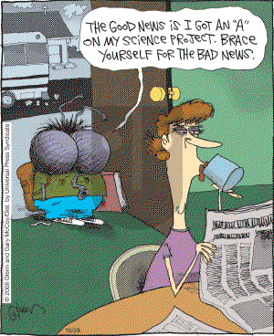 The Flying McCoys on Tuesday October 28, 2008 Comic Strip