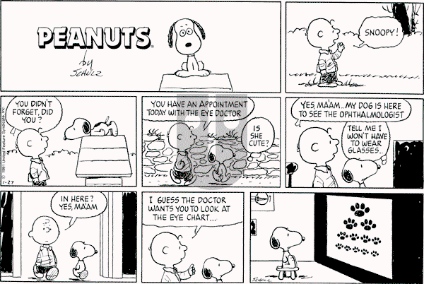 Peanuts - Sunday January 27, 1991 Comic Strip