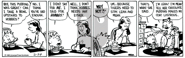 Calvin and Hobbes on Saturday February 24, 1990 Comic Strip