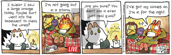 Breaking Cat News on Saturday July 20, 2019 Comic Strip