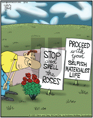 The Flying McCoys on Friday February 14, 2020 Comic Strip