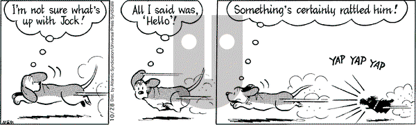 Fred Basset on Tuesday October 28, 2008 Comic Strip