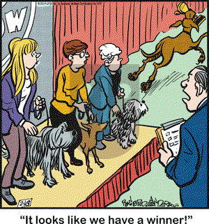 Marmaduke on Monday February 18, 2019 Comic Strip