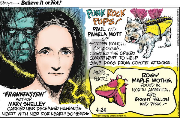 Ripley's Believe It or Not on Sunday April 24, 2016 Comic Strip