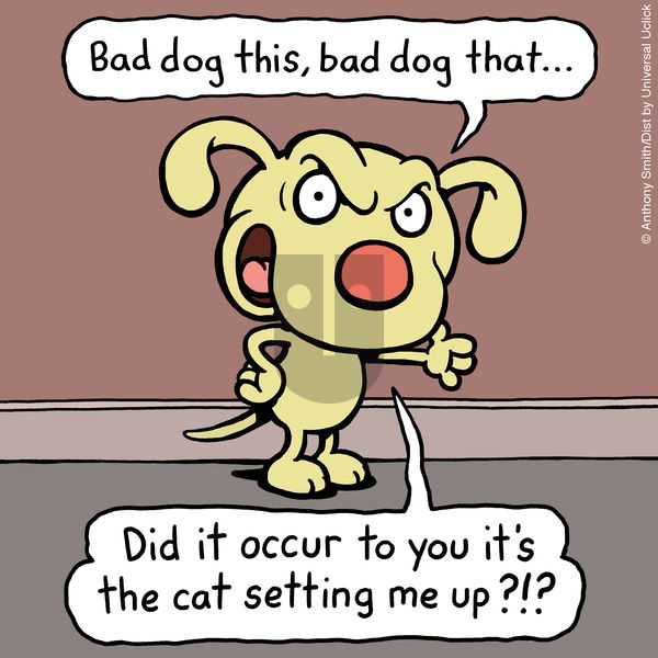 Cattitude — Doggonit on Sunday January 26, 2025 Comic Strip