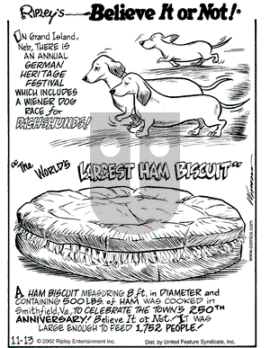 Ripley's Believe It or Not on Wednesday November 13, 2002 Comic Strip