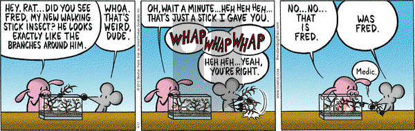 Pearls Before Swine on Saturday April 17, 2010 Comic Strip
