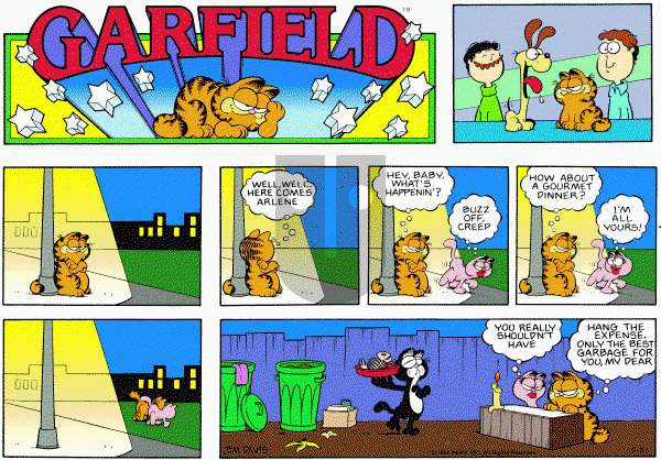 Garfield on Sunday May 31, 1981 Comic Strip