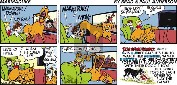 Marmaduke on Sunday June 25, 2017 Comic Strip