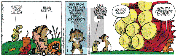 Over the Hedge on Tuesday July 3, 2007 Comic Strip