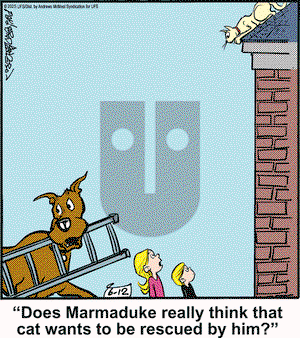 Marmaduke on Thursday June 12, 2025 Comic Strip