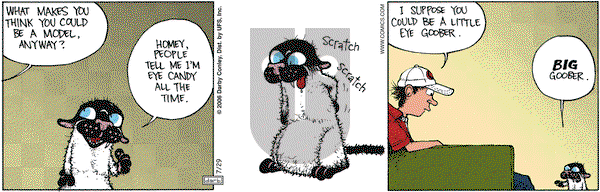 Get Fuzzy on Saturday July 29, 2006 Comic Strip