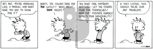Calvin and Hobbes on Tuesday June 10, 2025 Comic Strip