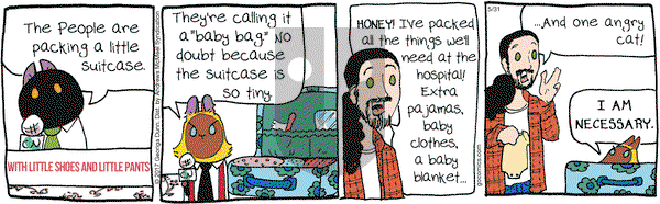 Breaking Cat News on Wednesday May 31, 2017 Comic Strip