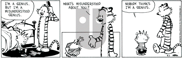 Calvin and Hobbes on Tuesday September 7, 1993 Comic Strip