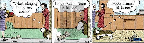 Fred Basset on Monday November 19, 2012 Comic Strip