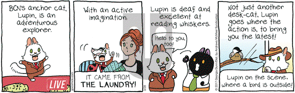 Breaking Cat News on Tuesday March 28, 2017 Comic Strip