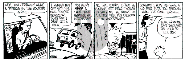 Calvin and Hobbes - Friday July 31, 1987 Comic Strip