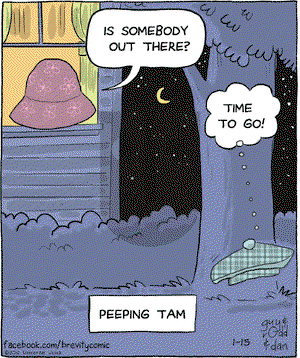 Brevity on Wednesday January 15, 2014 Comic Strip