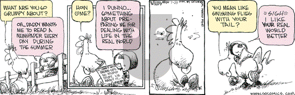 Non Sequitur on Tuesday July 29, 2008 Comic Strip