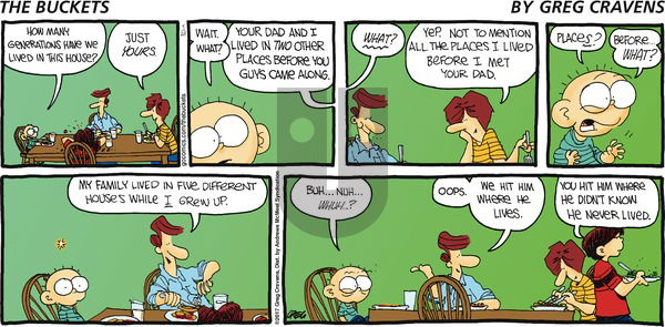 The Buckets on Sunday May 28, 2017 Comic Strip
