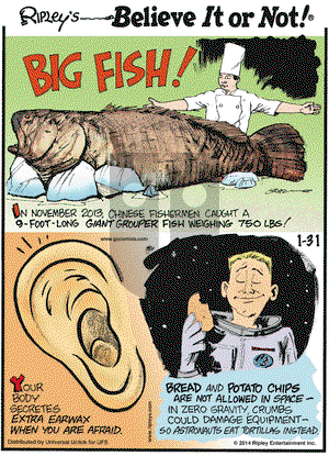 Ripley's Believe It or Not on Friday January 31, 2014 Comic Strip