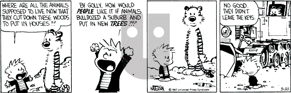 Calvin and Hobbes - Friday March 20, 1987 Comic Strip