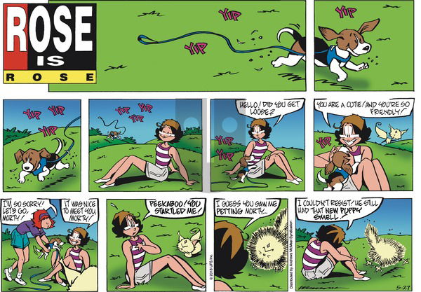 Rose is Rose on Sunday May 27, 2018 Comic Strip