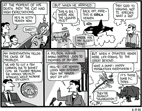 Ted Rall on Thursday June 15, 2006 Comic Strip