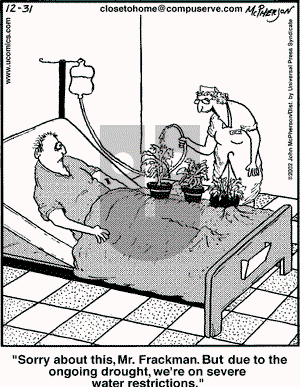Close to Home - Tuesday December 31, 2002 Comic Strip