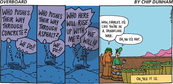 Overboard on Sunday June 12, 2016 Comic Strip