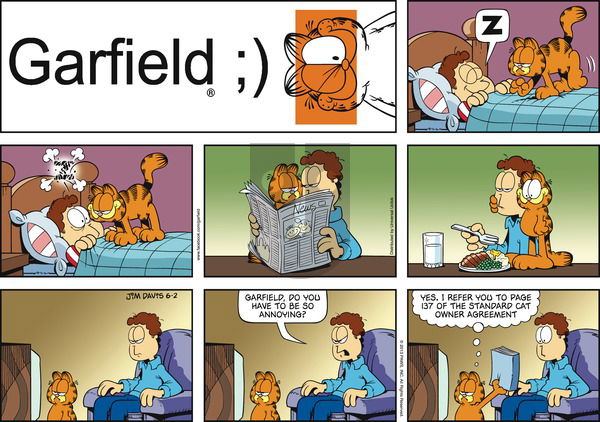 Garfield on Sunday June 2, 2013 Comic Strip