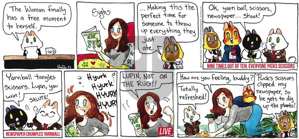 Breaking Cat News on Sunday May 4, 2025 Comic Strip