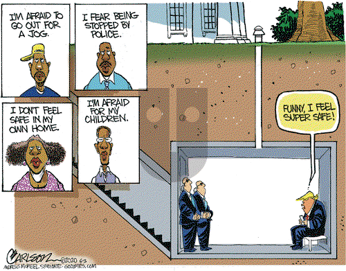 Stuart Carlson on Wednesday June 3, 2020 Comic Strip
