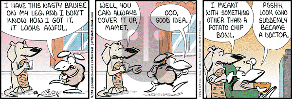 DeFlocked - Thursday May 23, 2024 Comic Strip