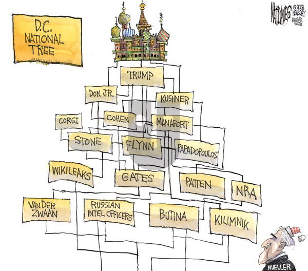 Matt Davies on Sunday December 2, 2018 Comic Strip