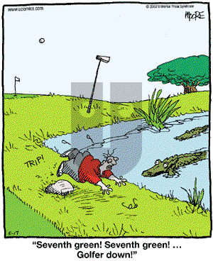 In the Bleachers - Friday May 17, 2002 Comic Strip