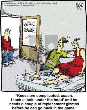 In the Bleachers on Monday February 10, 2014 Comic Strip