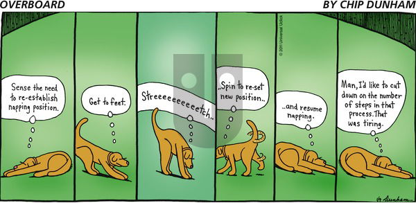 Overboard on Sunday January 9, 2011 Comic Strip